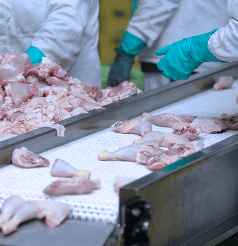 Application Specific Metal Detectors for Meat Processing