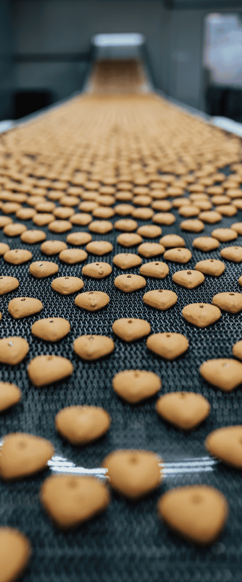 Conveyor Belt in Cookie Factory Showing Finished Product