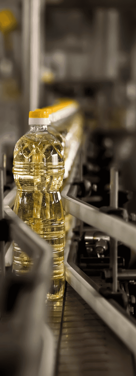 Vegetable Oil Processing Facility