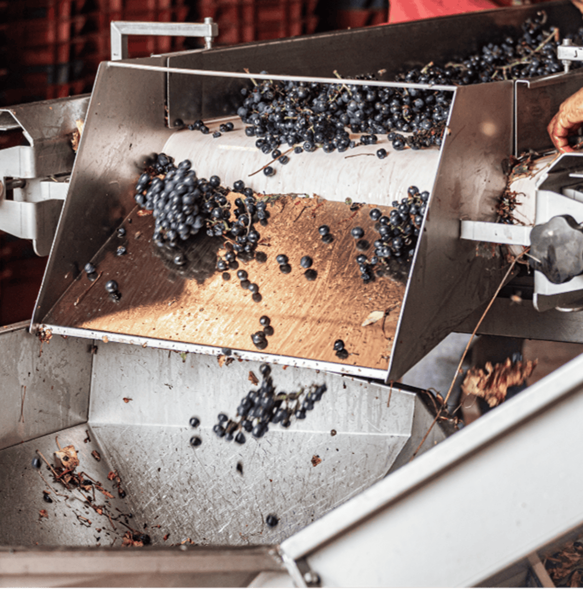 MPI Bulk Gravity Products for Sanitary Applications