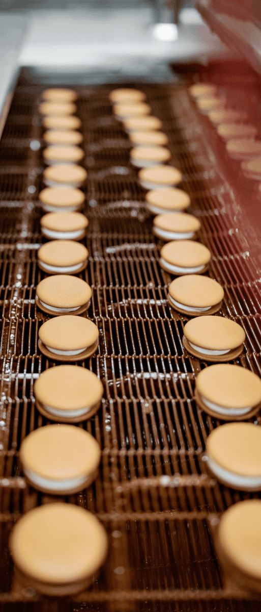 Finishing magnet application cookie processing facility